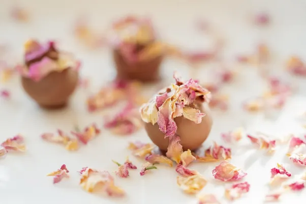 קרסוס קזינו אפליקציית Android/iOS